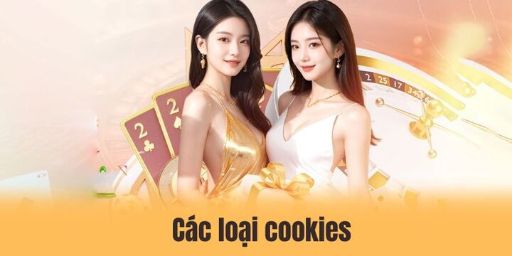 Tổng hợp các loại cookie được sử dụng