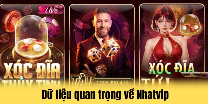 Nhatvip trở thành cái tên nổi bật trong ngành giải trí