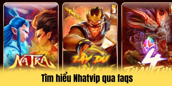 FAQs phổ biến nhất về Nhatvip