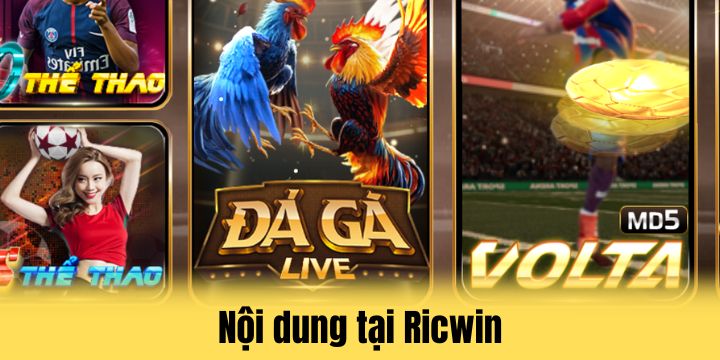 Tính năng giúp Ricwin thêm hoàn thiện