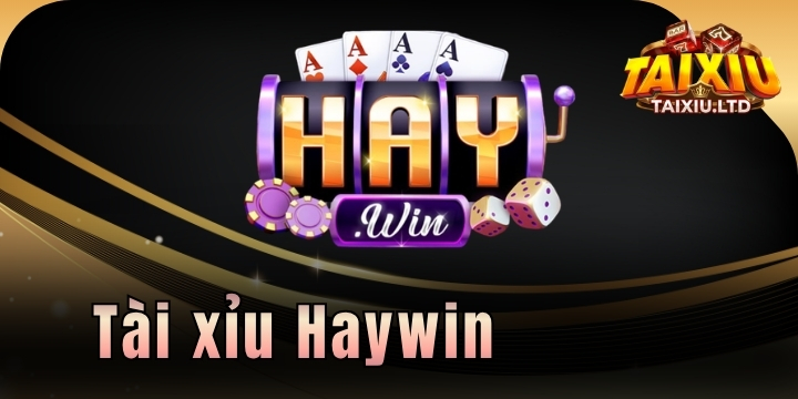 Haywin - Nhà cái cá cược trực tuyến chất lượng cao, uy tín 2026